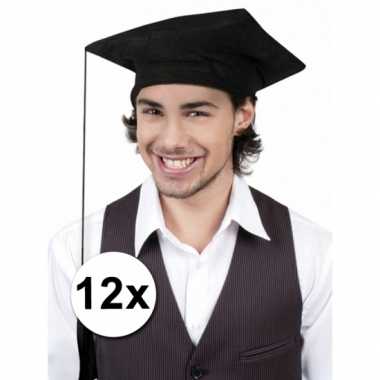 Groepsverpakking geslaagd hoedjes 12x
